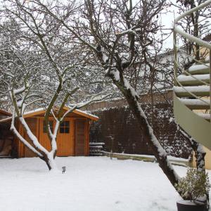 Jardin sous la neige